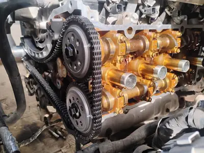 Cadena y engranajes de distribución a la vista con la tapa del motor abierta