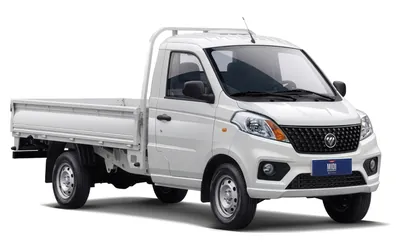 Foton Midi de referencia
